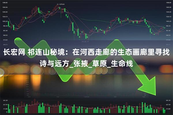 长宏网 祁连山秘境：在河西走廊的生态画廊里寻找诗与远方_张掖_草原_生命线