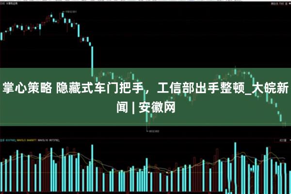 掌心策略 隐藏式车门把手，工信部出手整顿_大皖新闻 | 安徽网