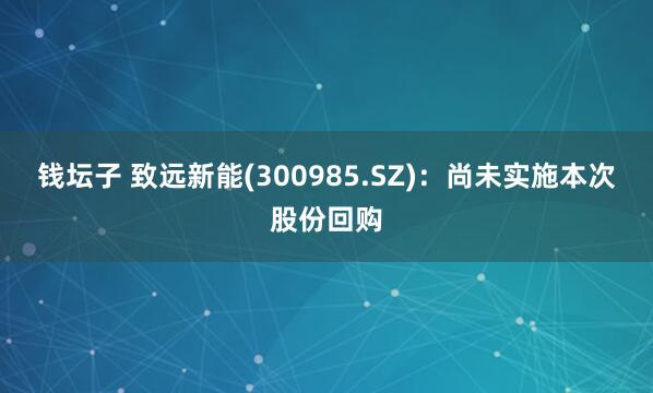 钱坛子 致远新能(300985.SZ)：尚未实施本次股份回购
