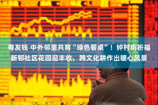 粤友钱 中外邻里共育“绿色餐桌”！钟村街祈福新邨社区花园迎丰收，跨文化耕作出暖心风景