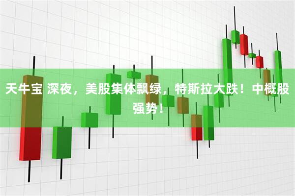 天牛宝 深夜，美股集体飘绿，特斯拉大跌！中概股强势！