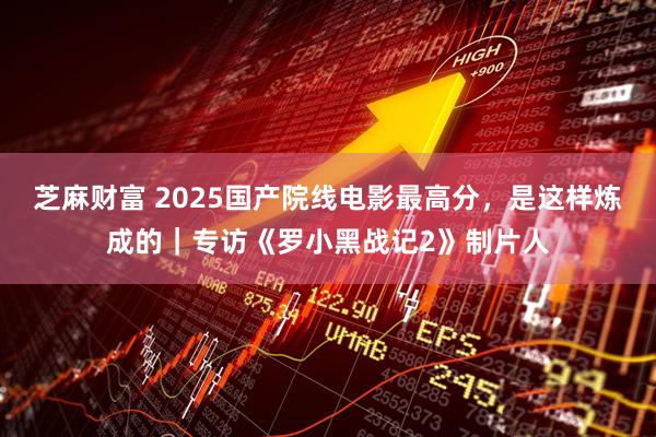 芝麻财富 2025国产院线电影最高分，是这样炼成的｜专访《罗小黑战记2》制片人