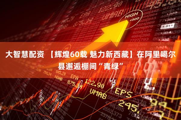 大智慧配资 【辉煌60载 魅力新西藏】在阿里噶尔县邂逅棚间“青绿”