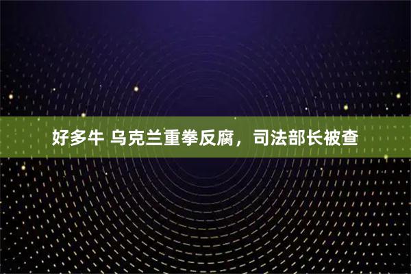 好多牛 乌克兰重拳反腐，司法部长被查