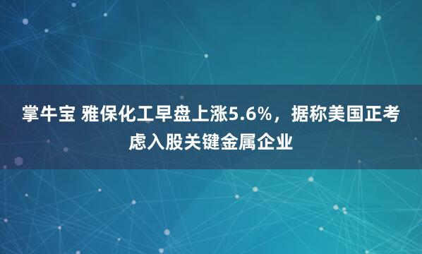 掌牛宝 雅保化工早盘上涨5.6%，据称美国正考虑入股关键金属企业
